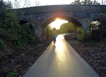 Sunny View of Cyclist