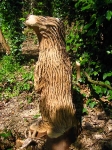 Badger Wood Sculpture on NCN Route 5 in Blacon